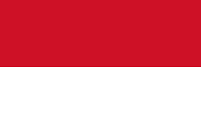 USA Flag